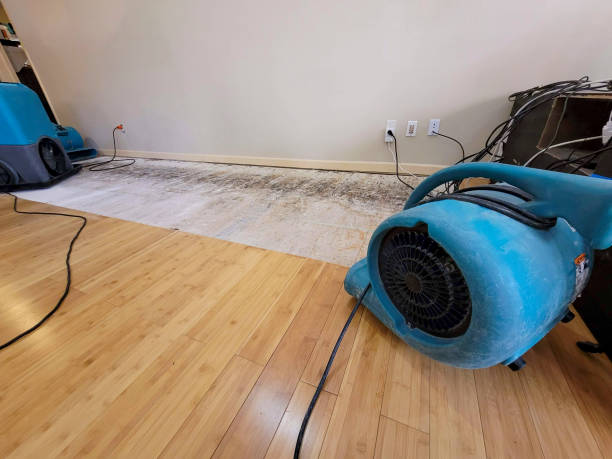 Professional Burst Pipe Water Damage technician working in Kokomo, IN